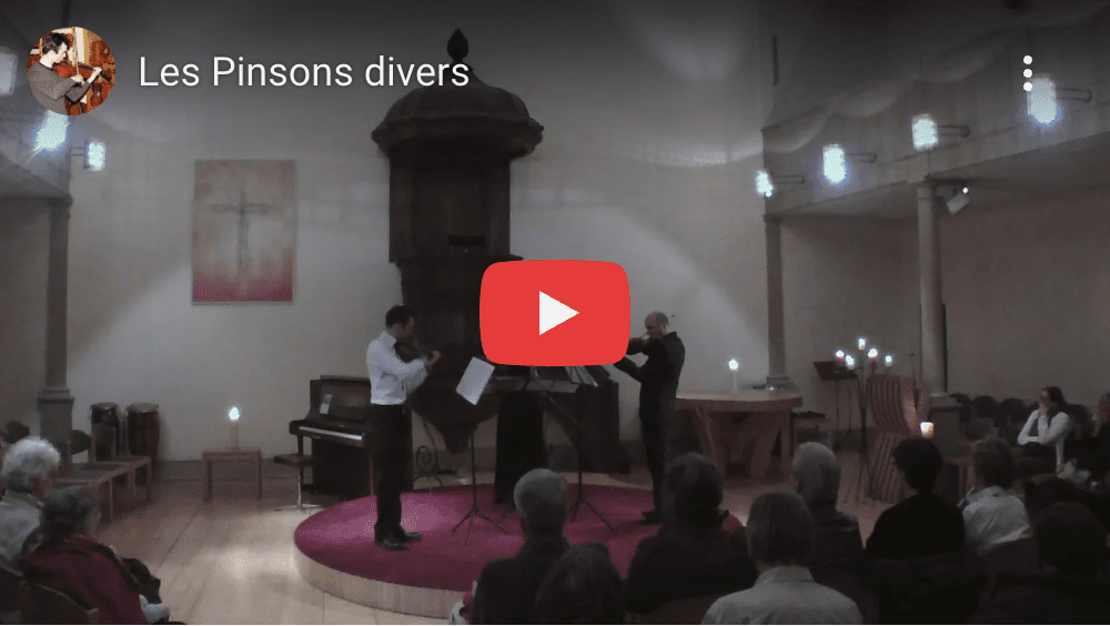 les pinsons divers video
