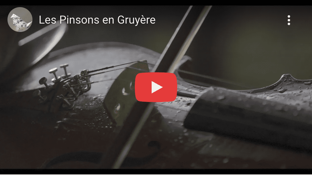 les pinsons en gruyère video
